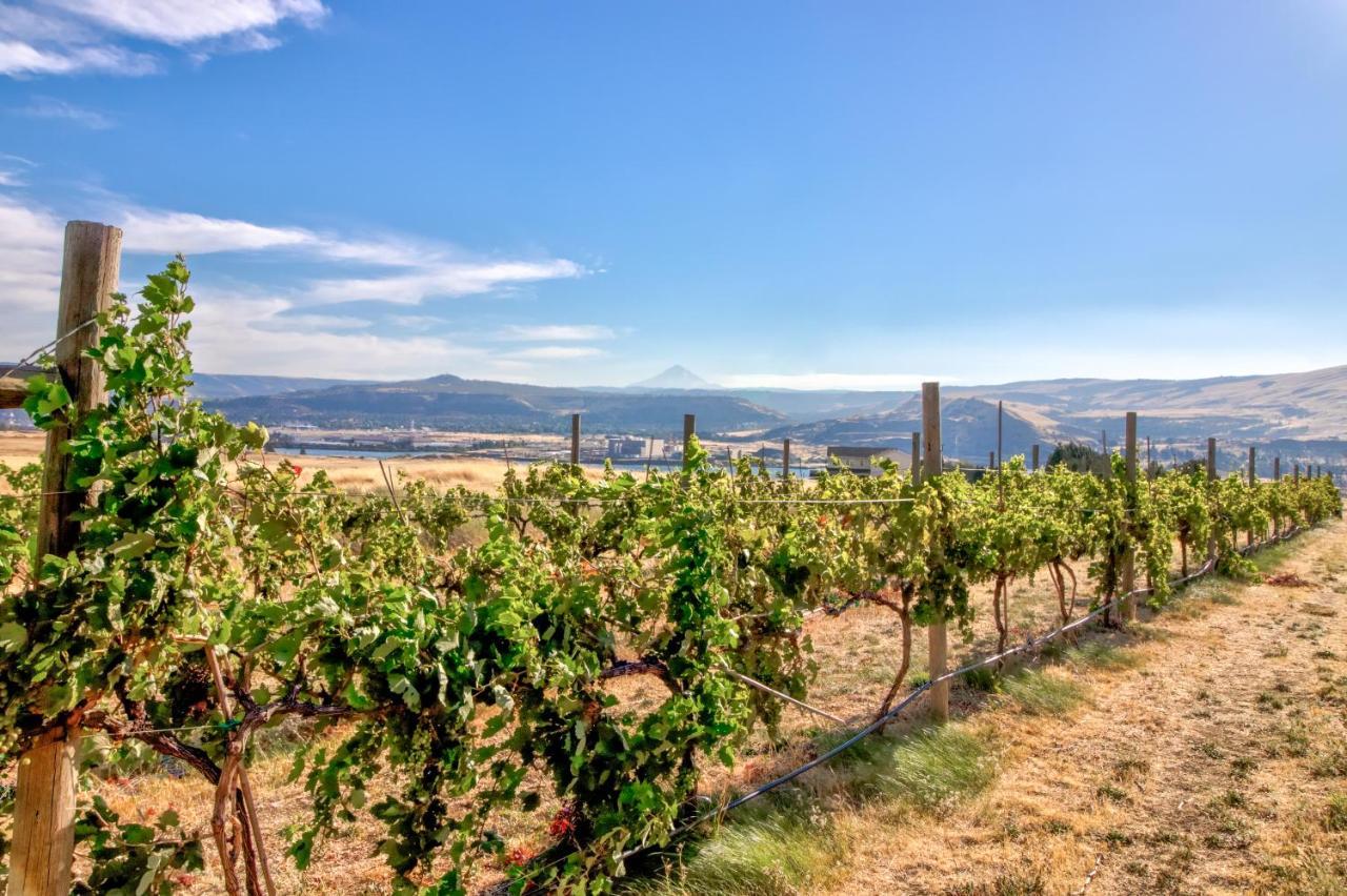 Grapevine Lodge Dallesport Dış mekan fotoğraf